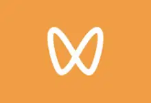 微信视频号下载工具(2026.1.1)-聆风小站